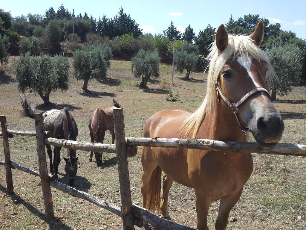 Agriturismo Terranova Pisticci Exterior foto